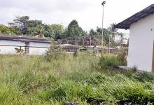 Piden mejoras en la escuala de Santa Elena de Víboral
