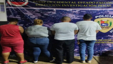 Cuatro detenidos por «paquetes migratorios ilegales»