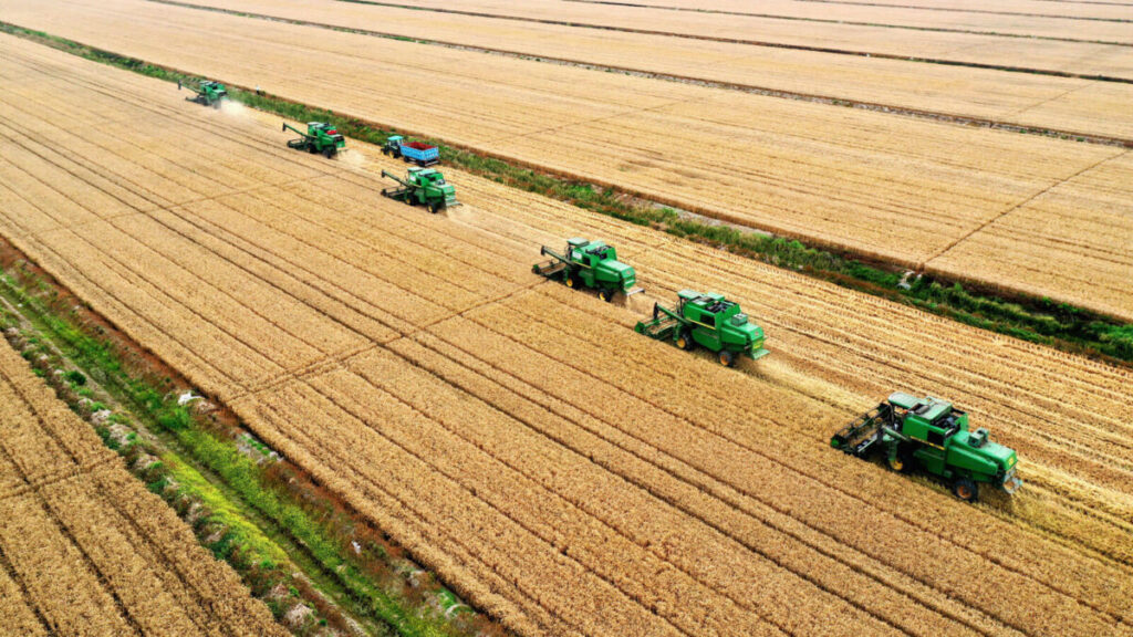 Agricultura Moderna