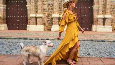 Olga Tañón lanza "Perro arrepentido"