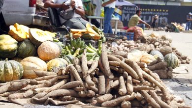 Comerciantes del Mercado Municipal aseguran comprar mercancía a proveedores certificados