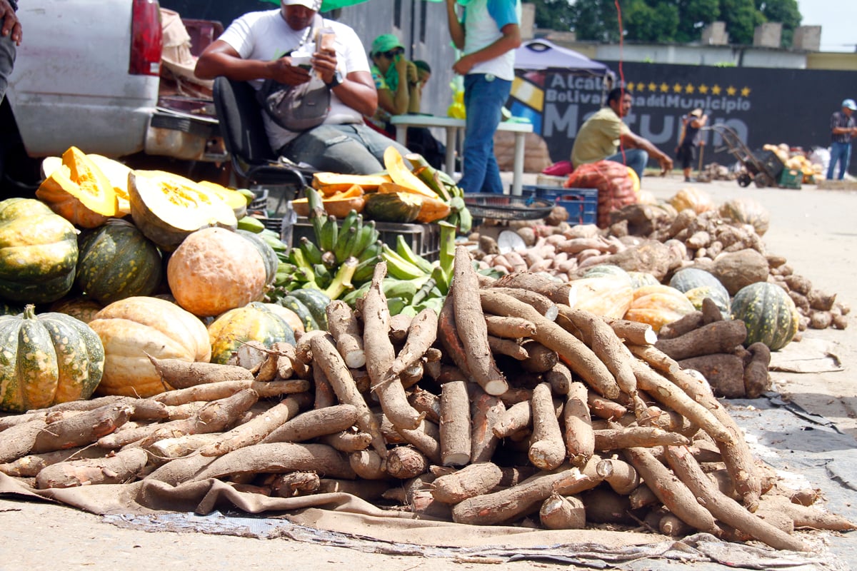 Comerciantes del Mercado Municipal aseguran comprar mercancía a proveedores certificados