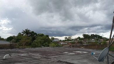 Chubacos con descarga eléctrica caerán este domingo