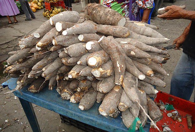 ¡La compraron en el Mercado Nuevo! Niño de 6 años murió por intoxicación con yuca amarga