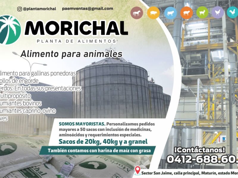 PLANTA DE ALIMENTOS MORICHAL