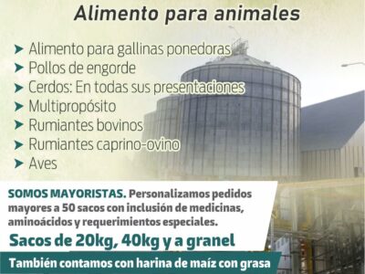 PLANTA DE ALIMENTOS MORICHAL