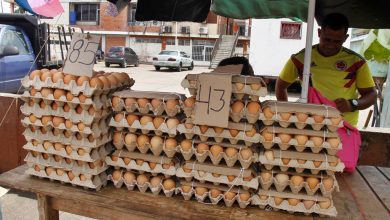 Reportan ventas regulares de los huevos pese a haber bajado de precio