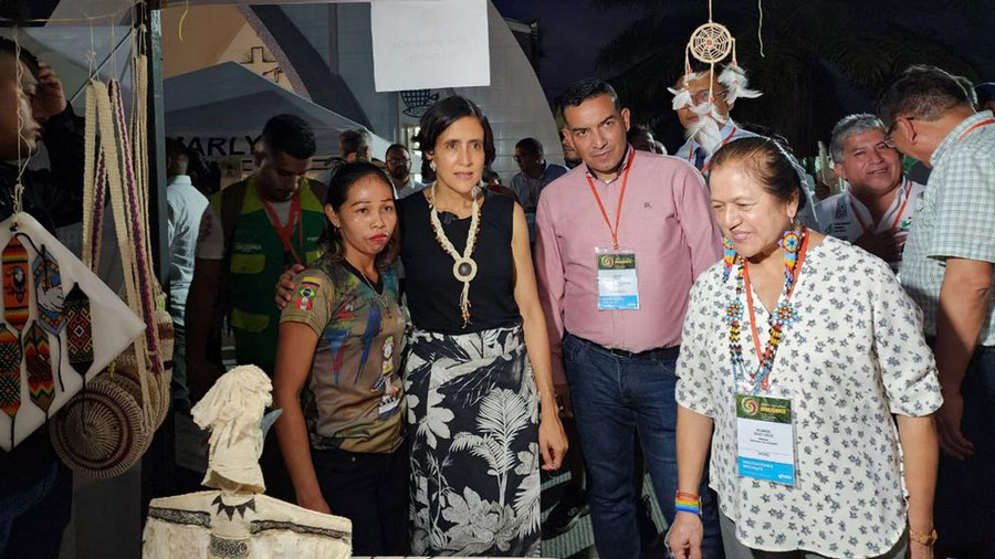 Venezuela participa en Cumbre para el rescate de la Amazonía