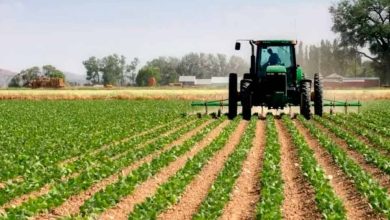 Fedeagro aspira precio preferencial del diesel a $0,10 por litro