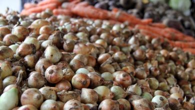 Reportan aumento de frutas y hortalizas en el mercado Los Bloques