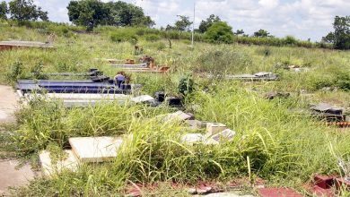 Ciudadanos critican mal estado del Cementerio Municipal de Maturín