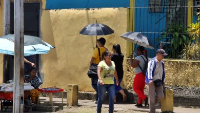 Los «tumba peluca» son el resuelve para mitigar los calorones