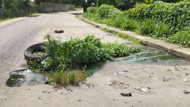 Más de 10 años tiene desborde de aguas servidas en el sector Viento Fresco de Cedeño