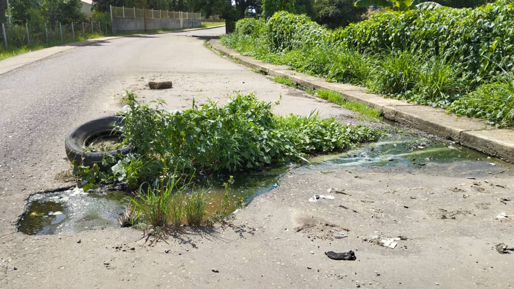 Más de 10 años tiene desborde de aguas servidas en el sector Viento Fresco de Cedeño