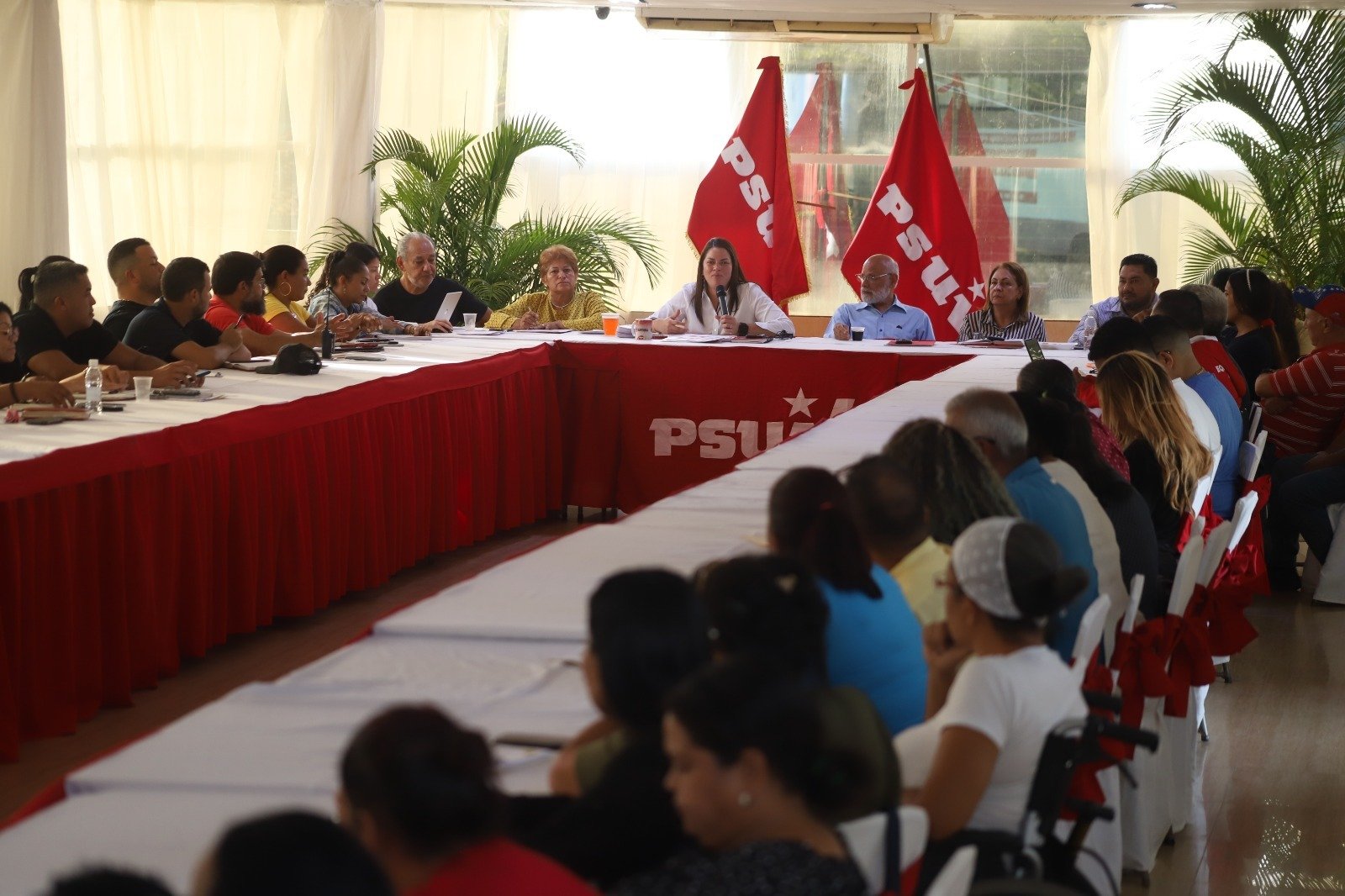 Estructuras integradas del PSUV discuten plan de acción política en Monagas