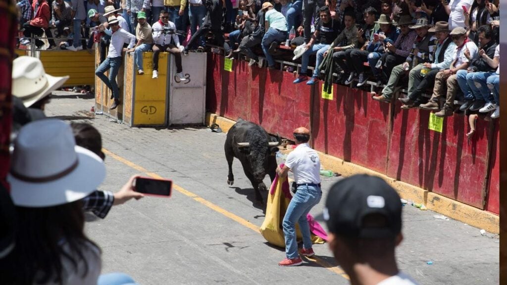 Huamantlada 2023: El evento con toros que dejó 20 heridos en Tlaxcala