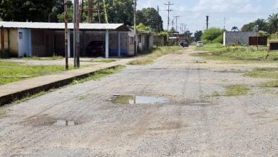 El abandono se evidencia