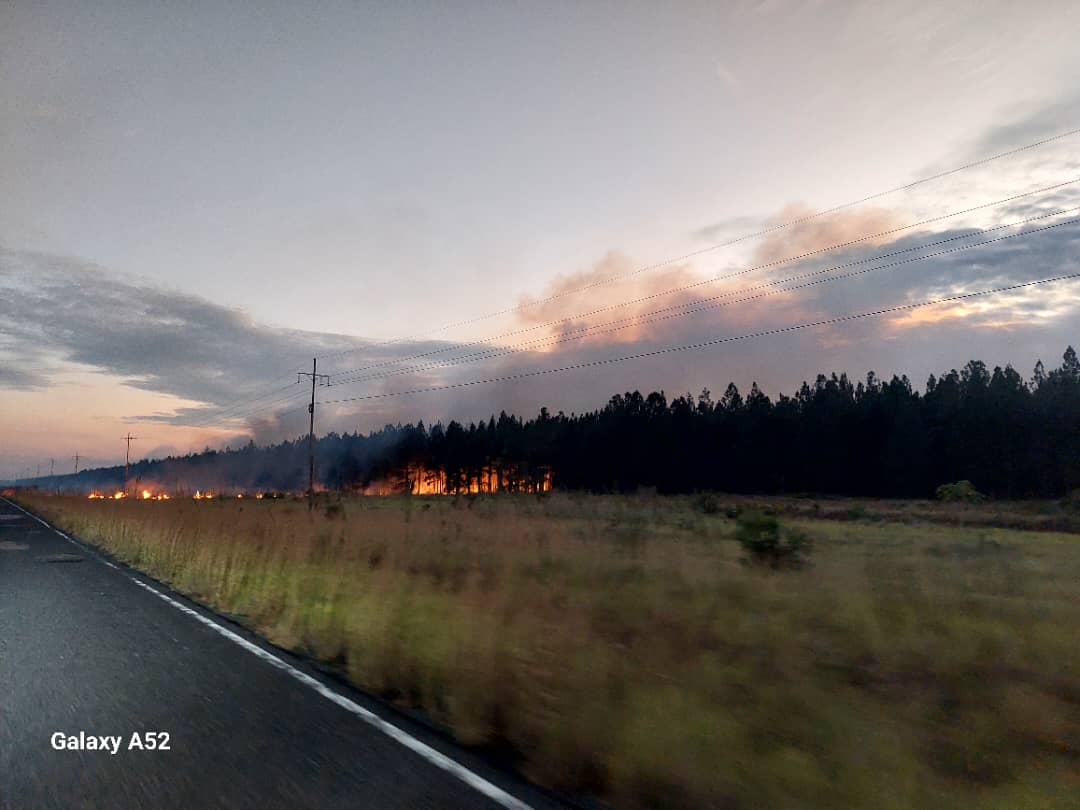 Reportan incendio forestal en el bosque de Uverito en Monagas