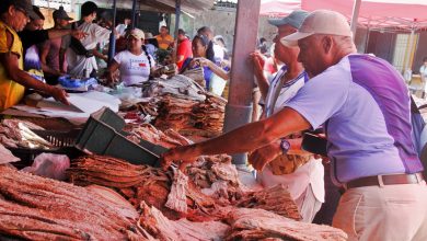 Chucho y cazón, los pescados más buscados en esta Semana Santa