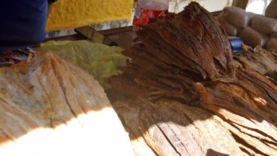 La Tradición del Cuajado: Placer culposo de Semana Santa en Caripito