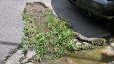 Vecinos de Los Guaros exigen soluciones urgentes ante desborde de aguas negras