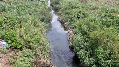 Comerciantes de vía la principal de la Puente exigen limpieza al caño de la zona