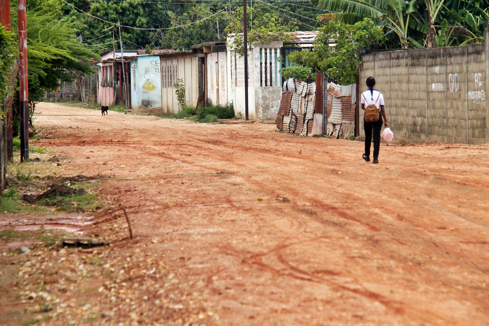 Vecinos del sector Rosa Inés denuncian carencias tras más de 20 años de espera