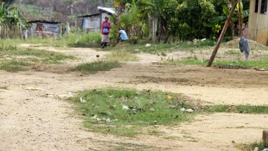 En Santa Elena y Luchadores Por La Paz de Víboral claman por ayuda gubernamental