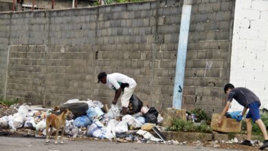 Reportan acumulación de basura en la vía principal de Las Cocuizas