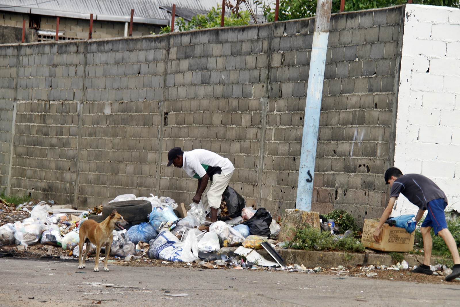 Reportan acumulación de basura en la vía principal de Las Cocuizas