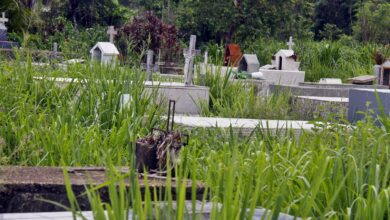Denuncian abandono y deterioro en el cementerio de Amana del Tamarindo