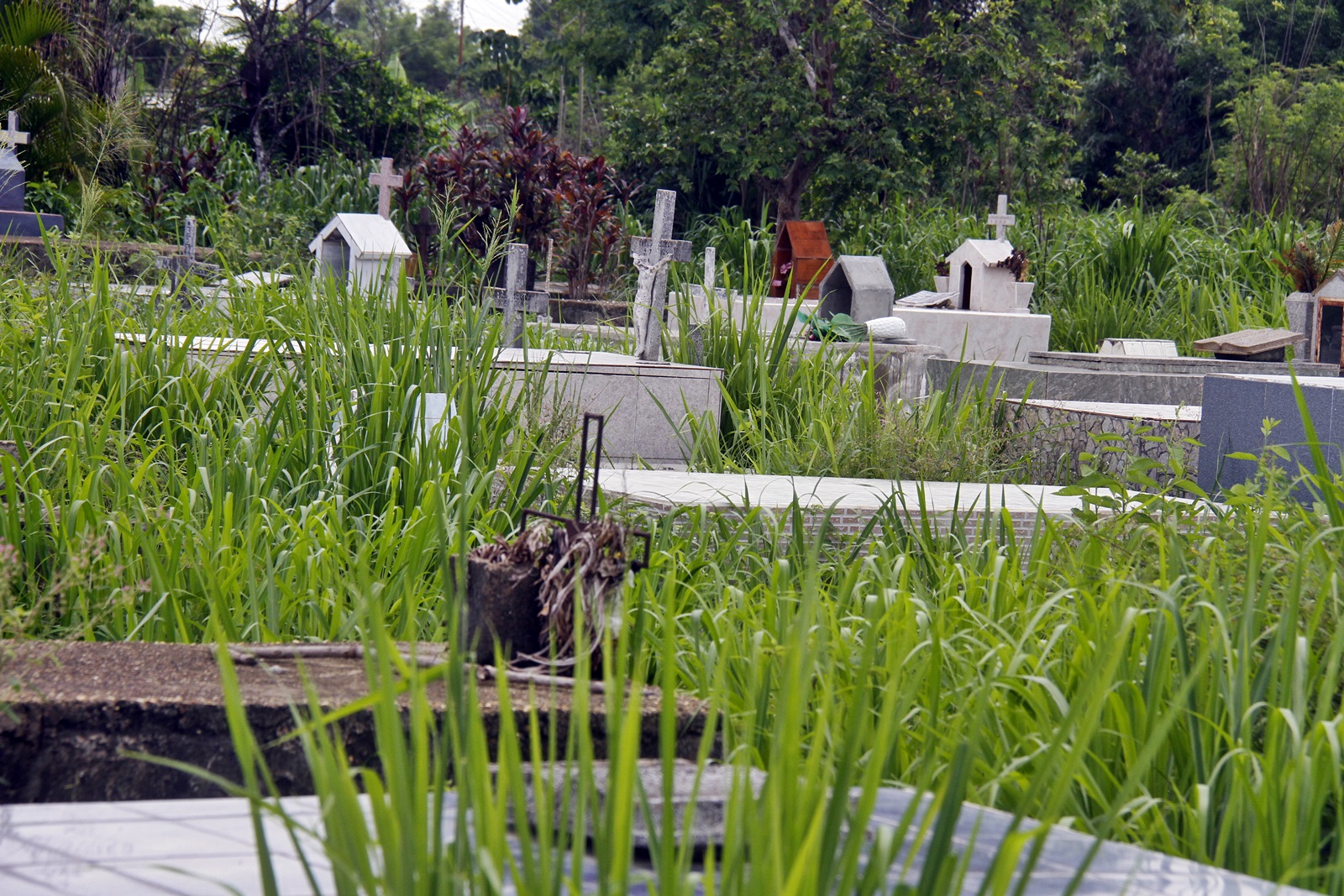 Denuncian abandono y deterioro en el cementerio de Amana del Tamarindo