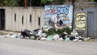 Solicitan mayor frecuencia en el servicio de aseo urbano en La Pica