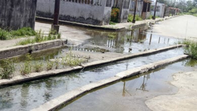 Vecinos de Antonio José de Sucre conviven con un persistente desborde de aguas servidas