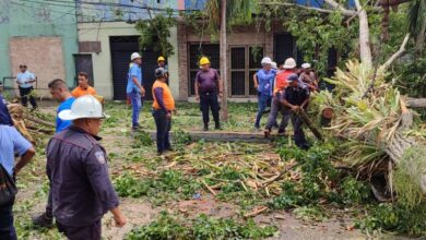 Dos muertos y tres heridos deja caída de árbol en Tucupita