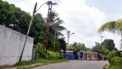 A punto de caerse esta el tendido eléctrico de Amana del Tamarindo