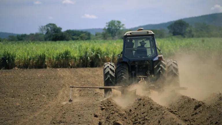 Alertan que el cambio climático está afectando a la producción en Venezuela