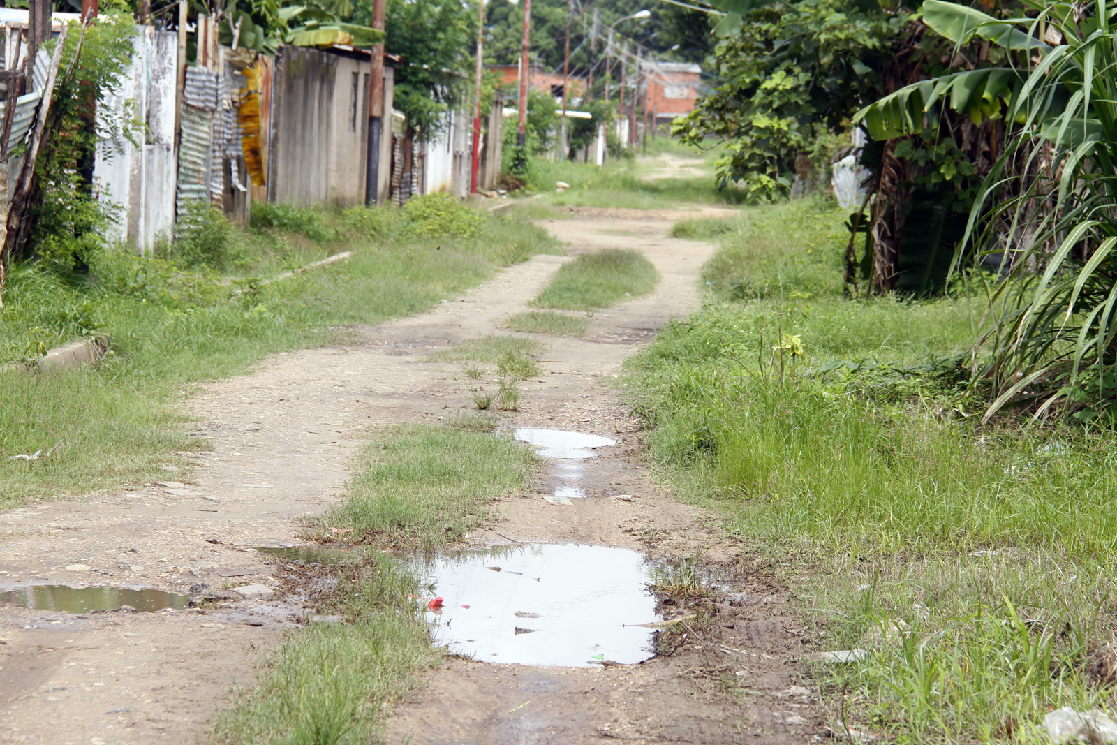 Habitantes de Sabana Grande y La Constituyentes claman por asfaltado