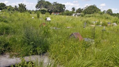 En abandono está el histórico cementerio La Cotorra de Maturín