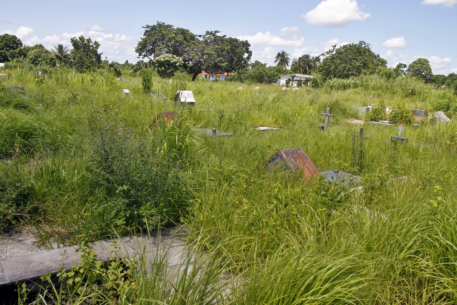 En abandono está el histórico cementerio La Cotorra de Maturín