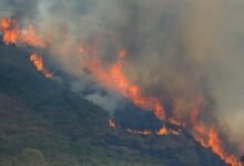 Alerta máxima en 30 ciudades del sureste de Brasil por los incendios forestales