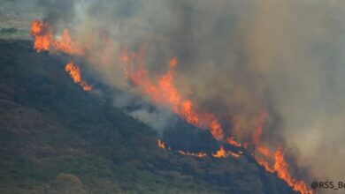 Alerta máxima en 30 ciudades del sureste de Brasil por los incendios forestales