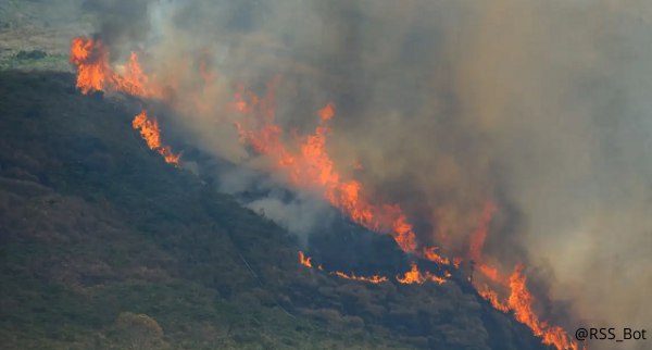 Alerta máxima en 30 ciudades del sureste de Brasil por los incendios forestales