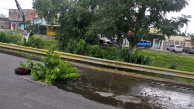 Tres meses tiene una alcantarilla desbordada en la avenida Orinoco Maturín