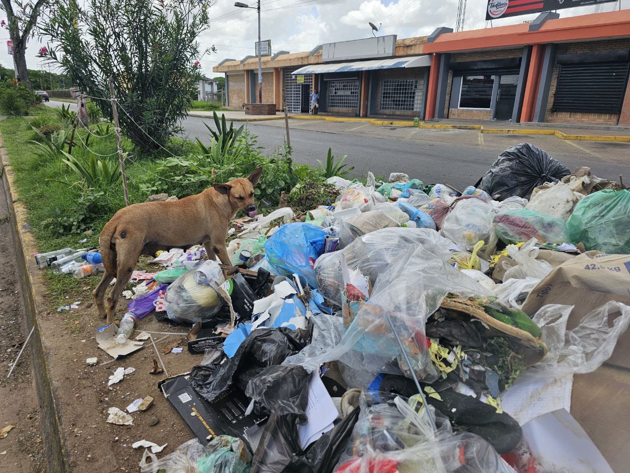 Corresponsabilidad ciudadana es vital para construir una Maturín limpia y moderna