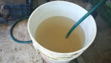 Agua con barro y fétida sale por las tuberías en el sector El Caro de Maturín