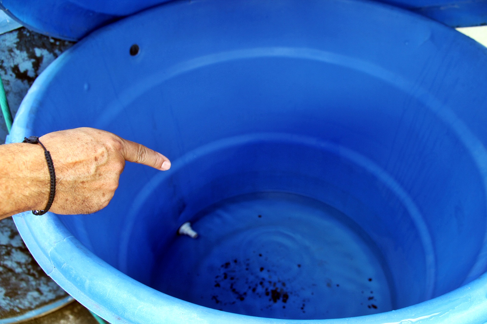 Habitantes de Pararicito ruegan por agua, asfaltado y mejoras en el tendido eléctrico