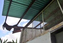 Desgastada y olvidada está la escuela de El Rincón de Monagas en Maturín