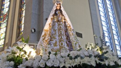 Milagros y fe: La devoción a la Virgen Del Valle En Monagas