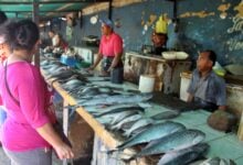 Maturineses optan por comprar pescado ante progresivo aumento en la carne